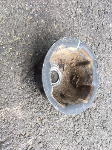 Genuine oem briggs stratton - oem,